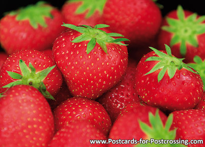 ansichtkaart aardbeien kaart, postcard strawberries, postkarte Erdbeeren