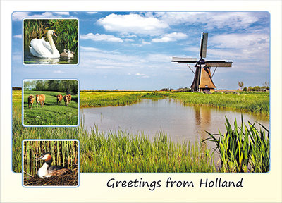 ansichtkaart / postcard greetings from Holland