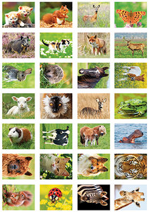 Dieren stickers, stickervel dieren