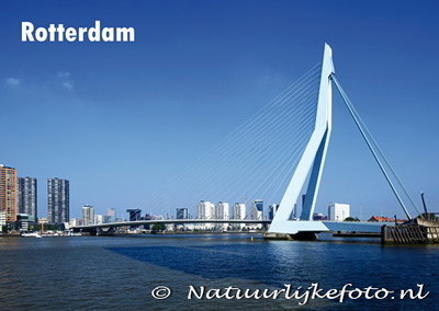 Ansichtkaart Rotterdam Erasmusbrug - Postkaart Rotterdam - Ansichtkaarten Rotterdam