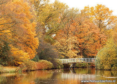 ansichtkaart bruggetje in de herfst