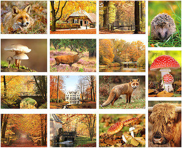 Herfst kaarten set - herfstkaarten - postkaarten 