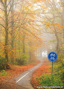 ansichtkaart fietspad in de herfst