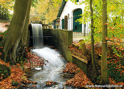 Ansichtkaart Staverdensebeek - landgoed Staverden