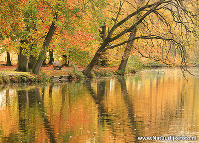 Ansichtkaart bankje in de herfst