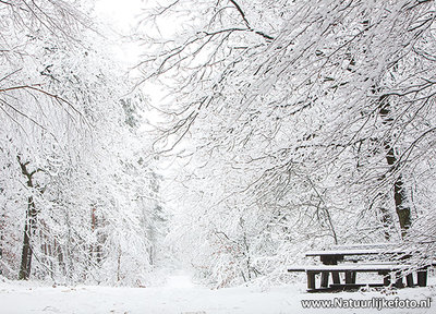 ansichtkaart Picknicktafel in de sneeuw