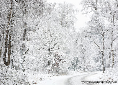 ansichtkaart weggetje in de winter