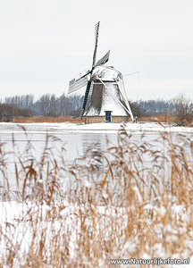 ansichtkaart Ypey molen - Ryptsjerksterpolder