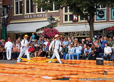 ansichtkaart Alkmaar - kaasmarkt