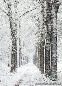 ansichtkaart winterslaantje