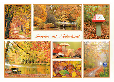 Ansichtkaart groeten uit Nederland herfst