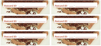 Postcrossing postcard ID stickers - 6x broodje hagelslag