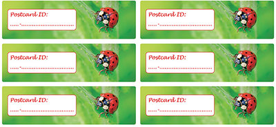 Postcard ID stickers - 6x lieveheersbeestje