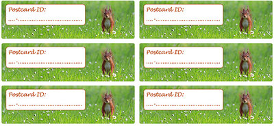 Postcard ID sticker eekhoorn