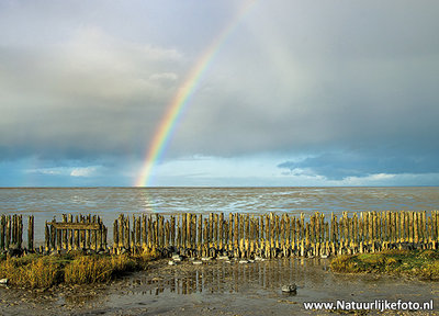 ansichtkaart regenboog