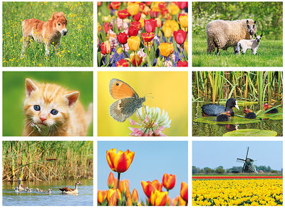 Lente kaarten set