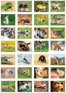 Beloningsstickers dieren - 28 stickers op een vel