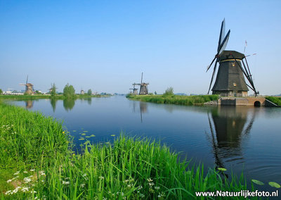 ansichtkaart molens van Kinderdijk