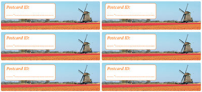 Postrossing postcard ID stickers - 6x molen met tulpen