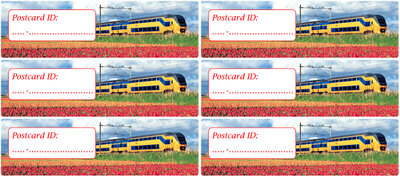 Postrossing postcard ID stickers - 6x trein met tulpen