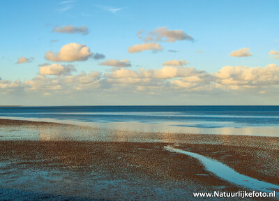 ansichtkaart het wad