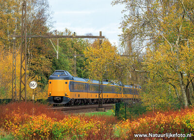 ansichtkaart NS trein in de herfst