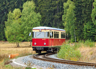 ansichtkaart dieselmotorwagen Selketalbahn