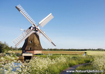 ansichtkaart molen de Eendracht Sebaldeburen, mill postcard, Mühle Postkarte