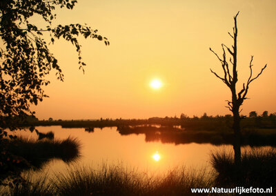 Ansichtkaart zonsondergang Dwingelderveld kaart, postcard sunset Dwingelderveld, Postkarte Sonnenuntergang Dwingelderveld