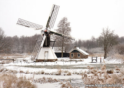 ansichtkaart spinnenkop molen de Wicher in Kalenberg, winter mill postcard, Mühle Postkarte winter