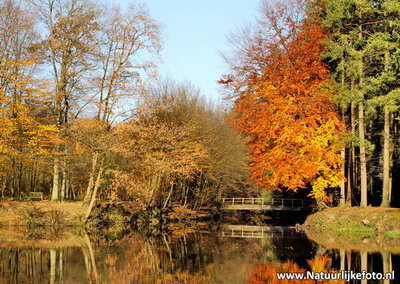 Herfstkaarten, ansichtkaart herfst Bruggetje, postcard Autumn bridge, postkarte Herbst Brücke
