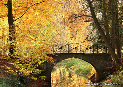 Herfstkaarten, ansichtkaart herfst Bruggetje, postcard Autumn bridge, postkarte Herbst Brücke