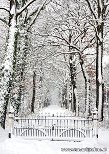 ansichtkaart winter laantje, postcard winter lane, Postkarte winter lane