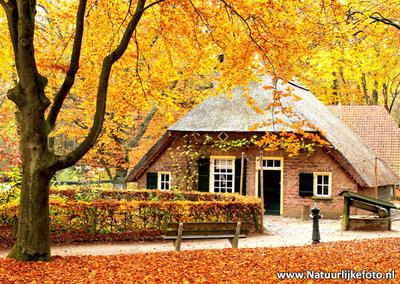 Herfstkaarten, Watermolen herfst Kleine boerderij, postcard Autumn Small farm, postkarte Herbst kleine Farm