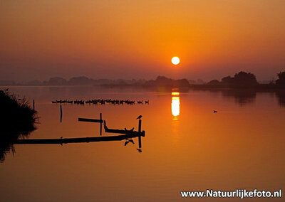 Ansichtkaart Leekstermeer kaart, postcard sunrise Leekstermeer, Postkarte Sonnenaufgang Leekstermeer 