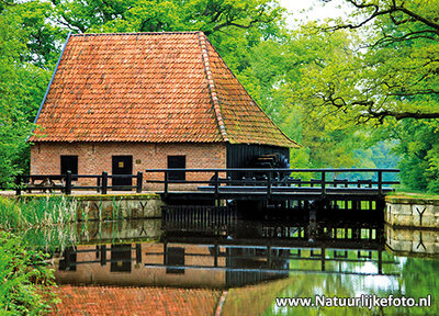 ansichtkaart watermolen de Noordmolen Ambt-Delden