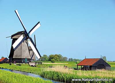 ansichtkaart museum molen - Schermerhorn