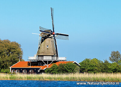 ansichtkaart molen de Leeuw / Leonide - Anna Paulowna, mill postcard, Mühle Postkarte