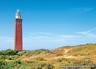 ansichtkaart vuurtoren Westhoofd Ouddorp - postcard lighthouse Westhoofd - postkarte leuchtturm Westhoofd