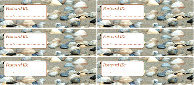 Postrossing postcard ID stickers - 6x schelpen