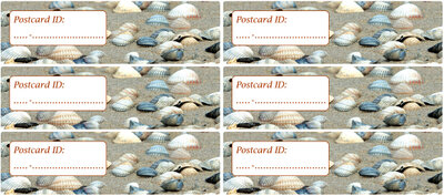 Postrossing postcard ID stickers - 6x schelpen