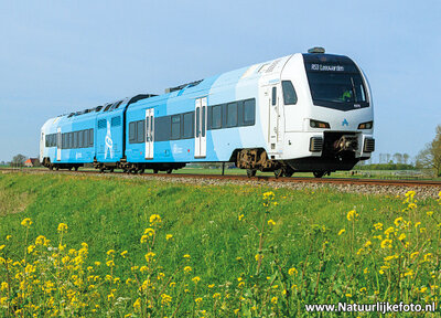 ansichtkaart Arriva trein met bloemen