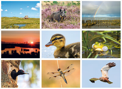 Natuur ansichtkaarten - set met 9 natuurkaarten