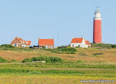 ansichtkaart vuurtoren van Texel