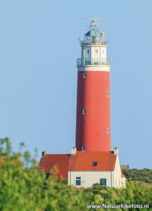 ansichtkaart vuurtoren van Texel