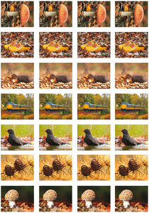 Beloningsstickers herfst - 28 stickers op een vel