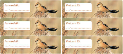 Postcrossing postcard ID stickers - 6x baardmannetje