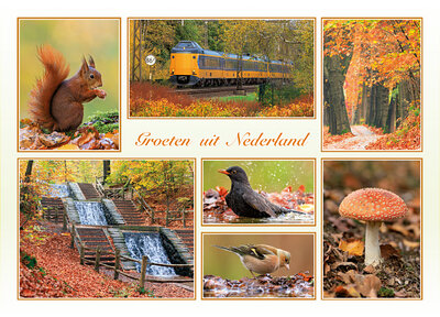 ansichtkaart groeten uit Nederland herfst