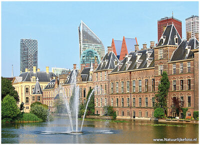 Ansichtkaarten Den Haag | ansichtkaart Hofvijver en het Torentje