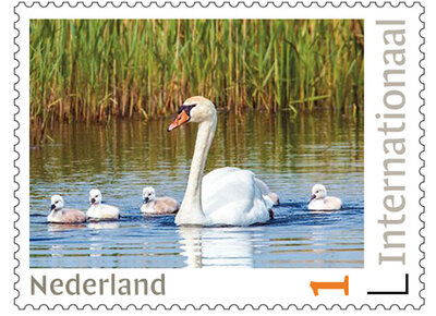 Postzegels 5 x Internationaal knobbelzwaan